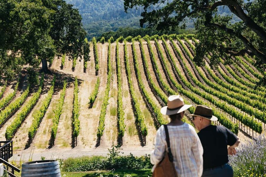 San Francisco: Napa and Sonoma Valley Wine Tour - A Stress-Free Day in Napa and Sonoma From San Francisco