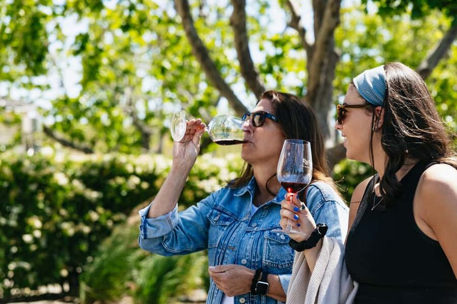 San Francisco: Napa and Sonoma Valley Wine Tour - The Golden Gate Bridge Photo Stop: 15 Minutes That Matter