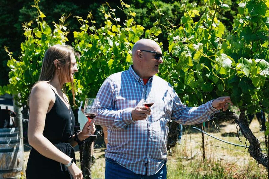 San Francisco: Napa and Sonoma Valley Wine Tour - Artesa, Roche, BR Cohn, and Friends: What You’ll Actually Do