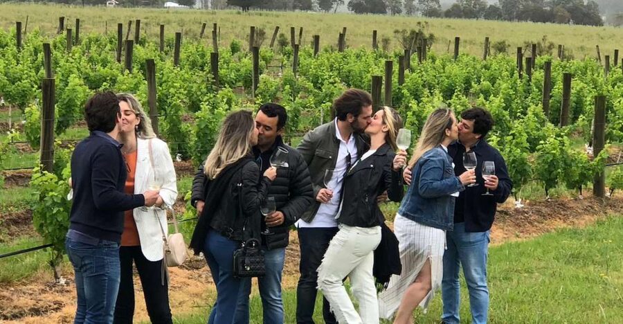 San Francisco: Napa Valley Half-Day Wine Tour with Tastings - Quick reasons this half-day Napa tour works