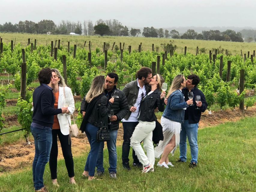 San Francisco: Napa Valley Half-Day Wine Tour with Tastings - Golden Gate Bridge and Sausalito: the views you actually remember