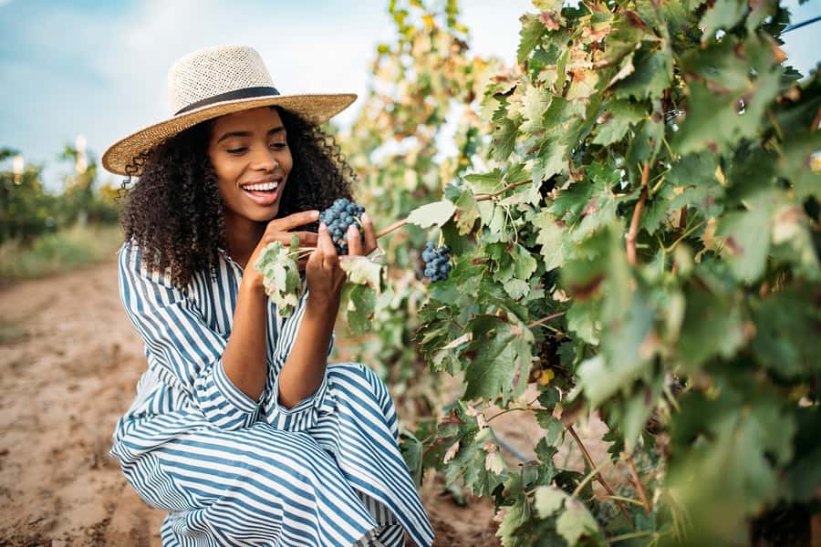 San Francisco: Redwood & Wine Country Tour with Lunch & Wine - Key things that make this tour worth your time