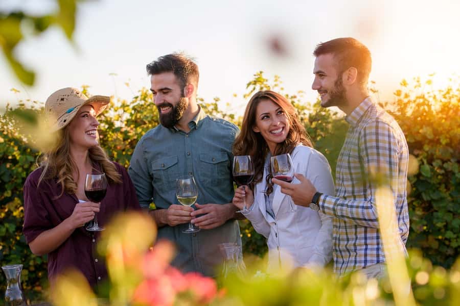 San Francisco: Redwood & Wine Country Tour with Lunch & Wine - Sonoma Plaza lunch and wine: a three-course meal with choices