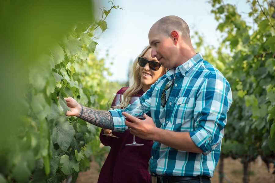 San Francisco: Sonoma Wine Country Tour with Tastings - Key things to know before you go
