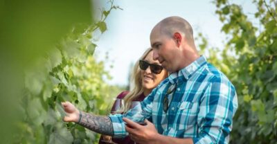 San Francisco: Sonoma Wine Country Tour with Tastings - Three boutique winery tastings: the best way to learn Sonoma