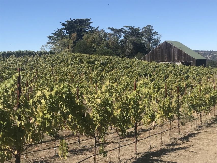 San Francisco: Sonoma Wine Country Tour with Tastings - What to bring (and how to pace yourself for tastings)