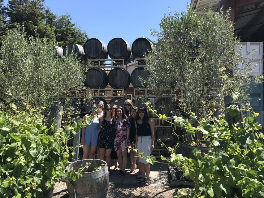San Francisco: Sonoma Wine Country Tour with Tastings - Who this Sonoma wine day trip suits best