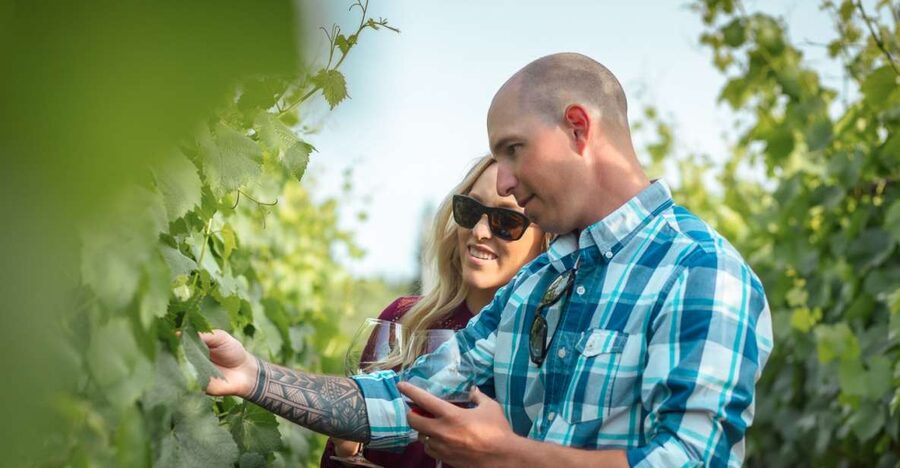 San Francisco: Sonoma Wine Country Tour with Tastings - Three boutique winery tastings: the best way to learn Sonoma