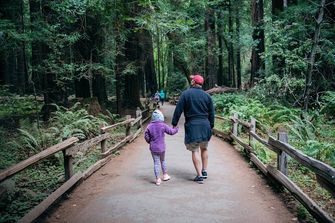 San Francisco Super Saver: Muir Woods & Wine Country w/ optional Gourmet Lunch - San Francisco to redwoods plus Napa-Sonoma: why this tour format works
