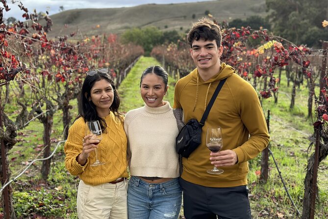San Francisco Super Saver: Muir Woods & Wine Country w/ optional Gourmet Lunch - Sonoma Plaza for lunch: where you reset before the next two tastings