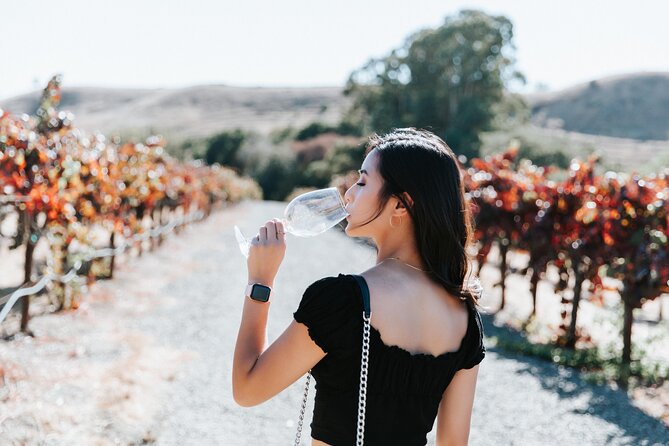 San Francisco Super Saver: Muir Woods & Wine Country w/ optional Gourmet Lunch - Jacuzzi Family Vineyards and The Olive Press: the finale with Italian-style flavors