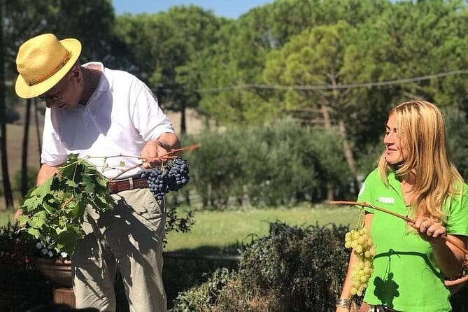 San Gimignano, Siena, Monteriggioni: Fully Escorted Tour, Lunch & Wine Tasting - Walking, Group Size, and the Long-Day Reality