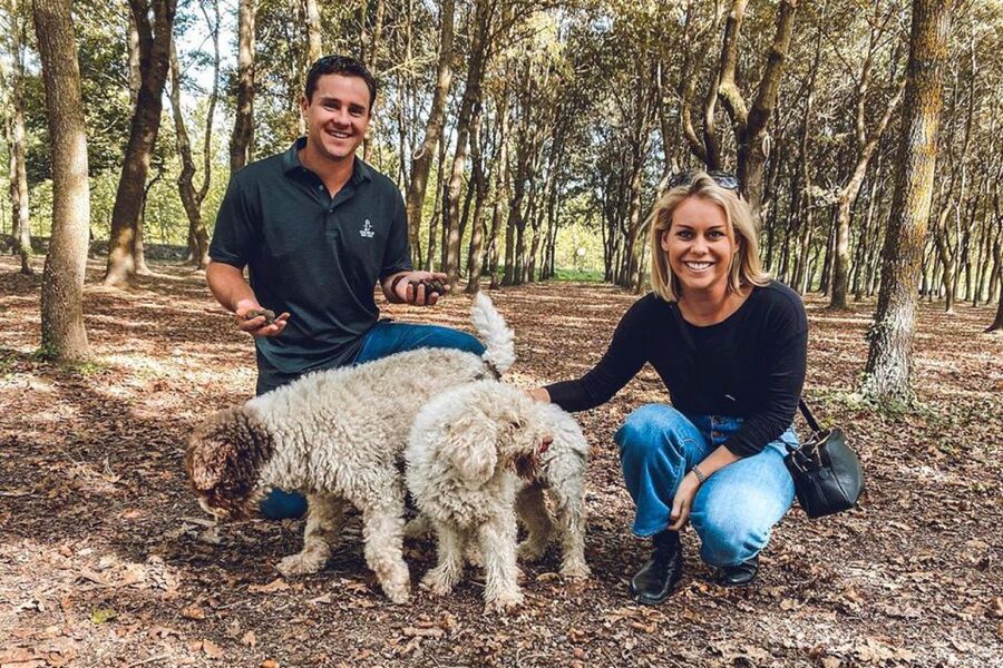 San Gimignano: Truffle Hunting with Lunch & Wine Tasting - What Guides Teach You: Trees, Habitat, and the Truffle Connection