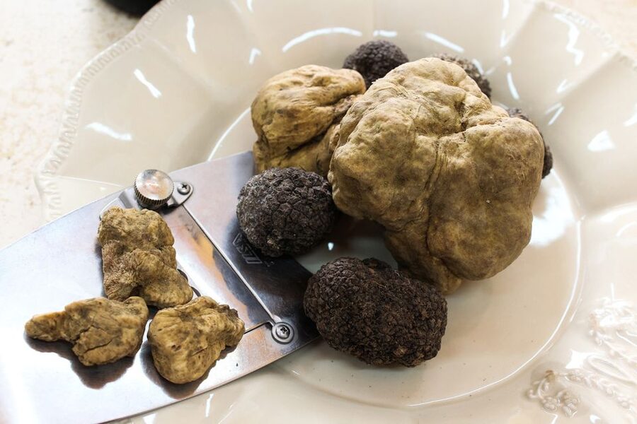 San Gimignano: Truffle Hunting with Lunch & Wine Tasting - Wine and Olive Oil Tasting: A Local Lesson, Not Just Drinks