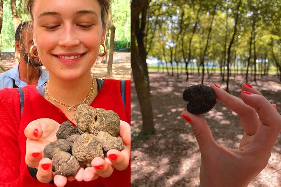 San Gimignano: Truffle Hunting with Lunch & Wine Tasting - Views of Tuscany’s Wine Country: The Bonus You Can’t Ignore