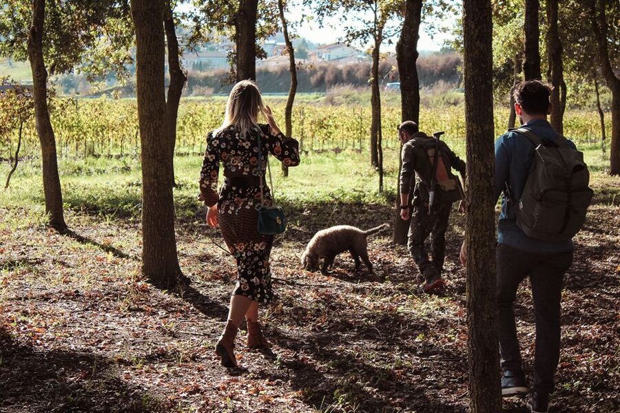 San Gimignano: Truffle Hunting with Lunch & Wine Tasting - Who This Is Best For (And Who Might Want Something Else)