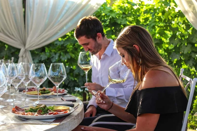 San Gimignano: Wine and Oil Tasting with Tuscan Appetizers - Tenuta Torciano in San Gimignano: What makes this tasting feel special