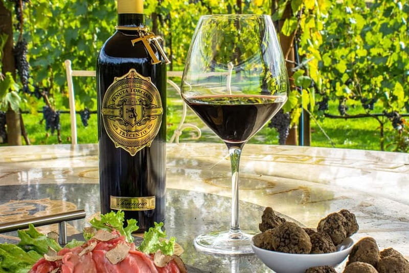 San Gimignano: Wine and Oil Tasting with Tuscan Appetizers - What you taste in 60 minutes: reds, whites, olive oil, and balsamic vinegar