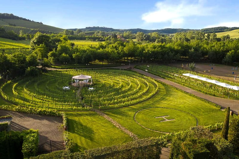 San Gimignano: Wine and Oil Tasting with Tuscan Appetizers - Tuscan appetizers: pecorino, cold cuts, and tomato bruschetta that actually match
