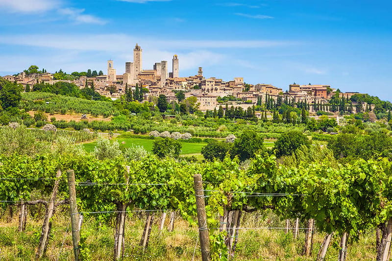 San Gimignano: Wine and Oil Tasting with Tuscan Appetizers - Logistics that matter: skip-the-line entry, parking, and getting there