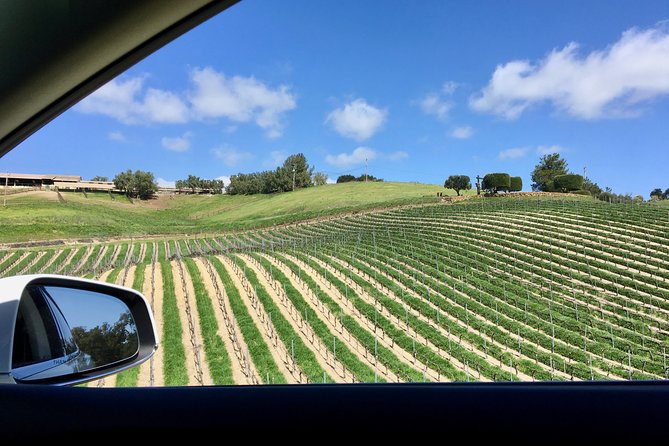 Santa Barbara Small-Group Wine Tour to Private Estates & Wineries - Your 10:00 AM Start and the Santa Barbara to Santa Ynez Rhythm