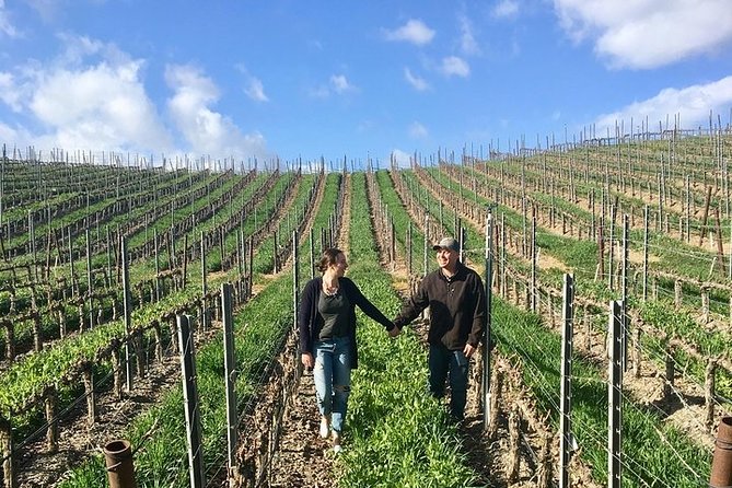 Santa Barbara Small-Group Wine Tour to Private Estates & Wineries - Who Should Book This Santa Barbara to Santa Ynez Tour