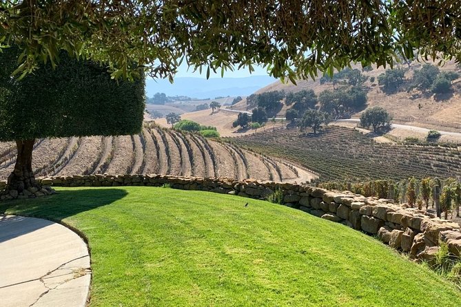 Santa Barbara Vineyard to Table Taste Tour by E-Bike - The Brander Vineyard Picnic Lunch: Where the Day Feels Like a Vacation