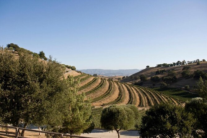 Santa Barbara Wine Country Tour - Key Things To Know Before You Go