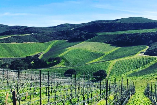 Santa Barbara Wine Country Tour - Who This Tour Fits Best (And Who Should Think Twice)