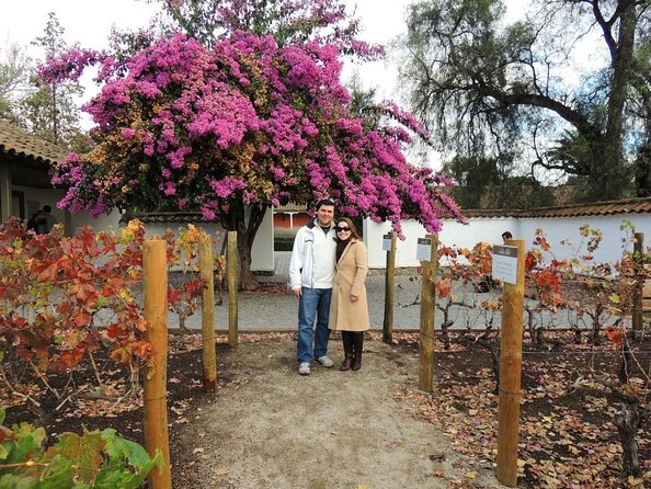 Santa Rita Winery Selection Tour - Key Highlights That Make This Tour Worth Your Time