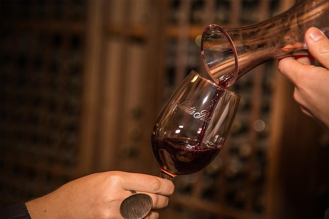 Santa Rita Winery Selection Tour - Stop 1 At Viña Santa Rita: Vineyards, Varietals, And The Winemaking Machine