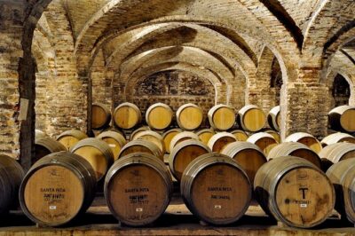 Santa Rita Winery Selection Tour - What The Winery Tour Covers (And Why That Order Makes Sense)