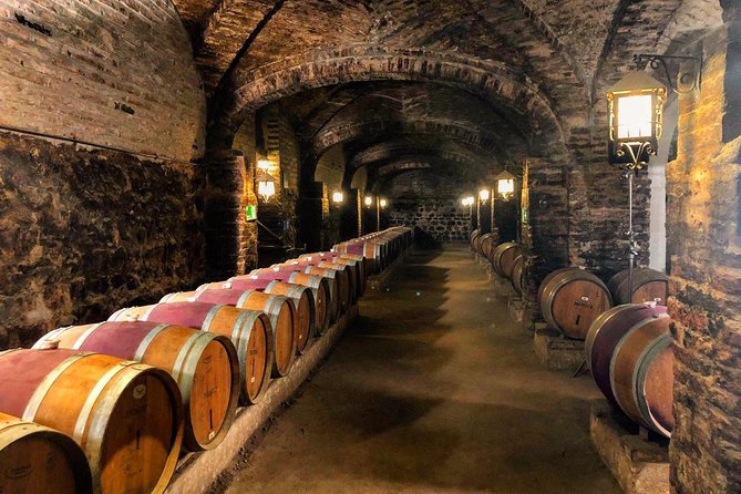 Santa Rita Winery Selection Tour - The Andean Museum Time: Great Extra Value, But Not Guided