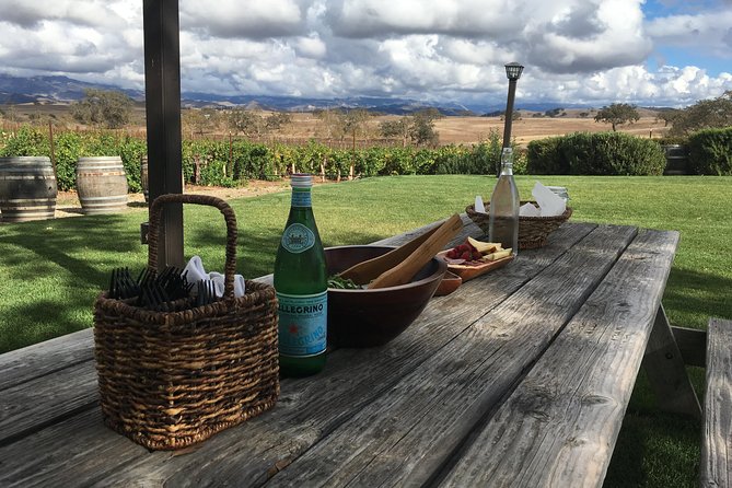 Santa Ynez Valley Biking and Wine Tasting Tour - Ballard Canyon AVA Ride: Scenic, Safe, and Built for Real Riders