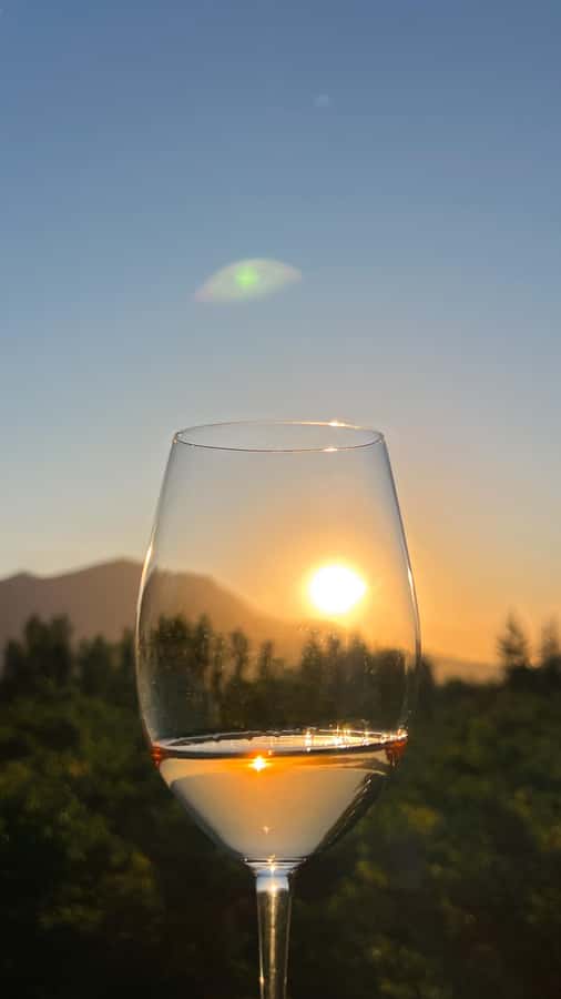 Santiago: Alyan Winery Sunset with Wine Tastings and Dinner - Practical tips to get the best afternoon