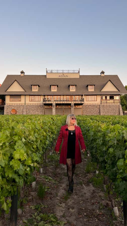 Santiago: Alyan Winery Sunset with Wine Tastings and Dinner - Door-to-door pickup in Santiago: what to expect from the van