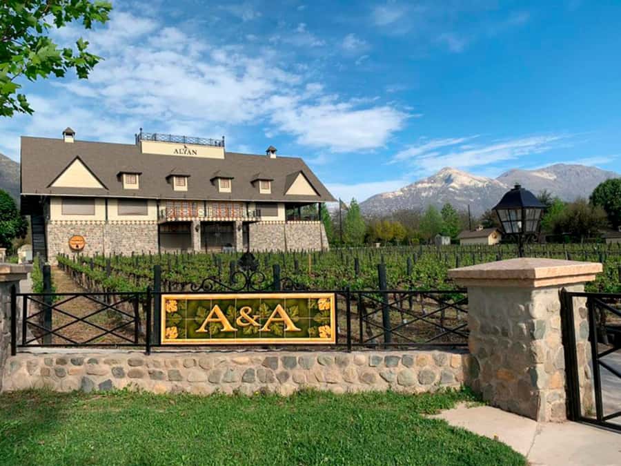 Santiago: Alyan Winery Sunset with Wine Tastings and Dinner - The tastings: 3–4 Family Ambassador pours in different locations