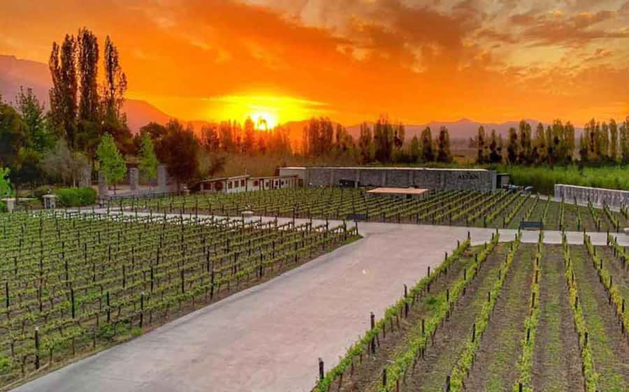 Santiago: Alyan Winery Sunset with Wine Tastings and Dinner - Food that matches the tasting: cheeses, hams, and nuts