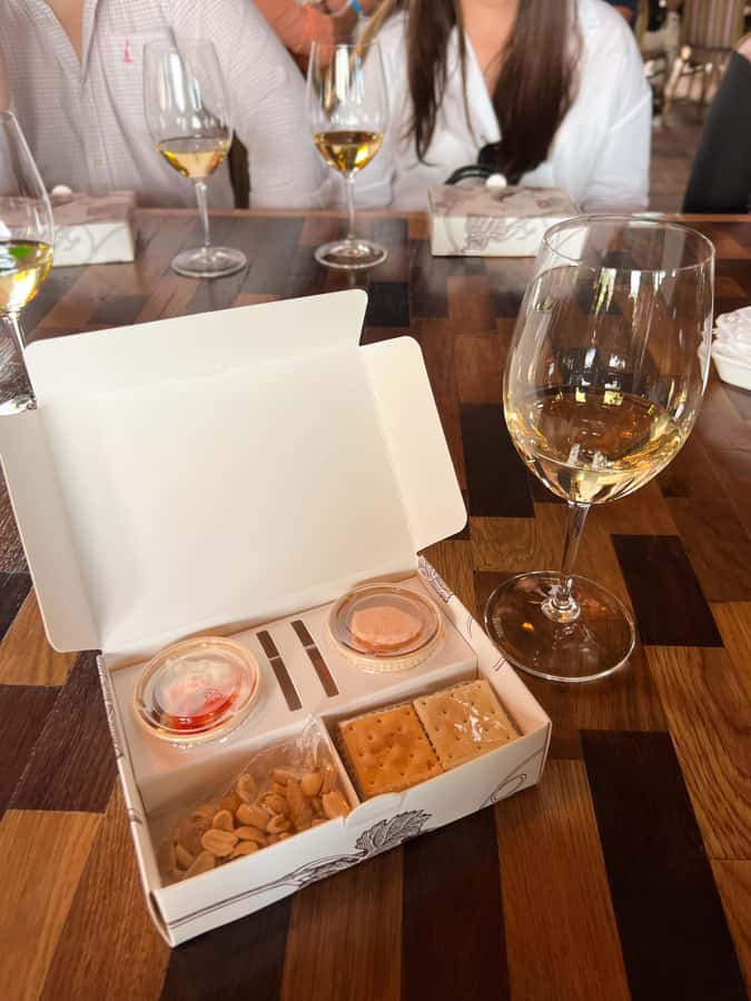 Santiago: Alyan Winery Sunset with Wine Tastings and Dinner - Sunset at the winery: where the photos and the mood come from