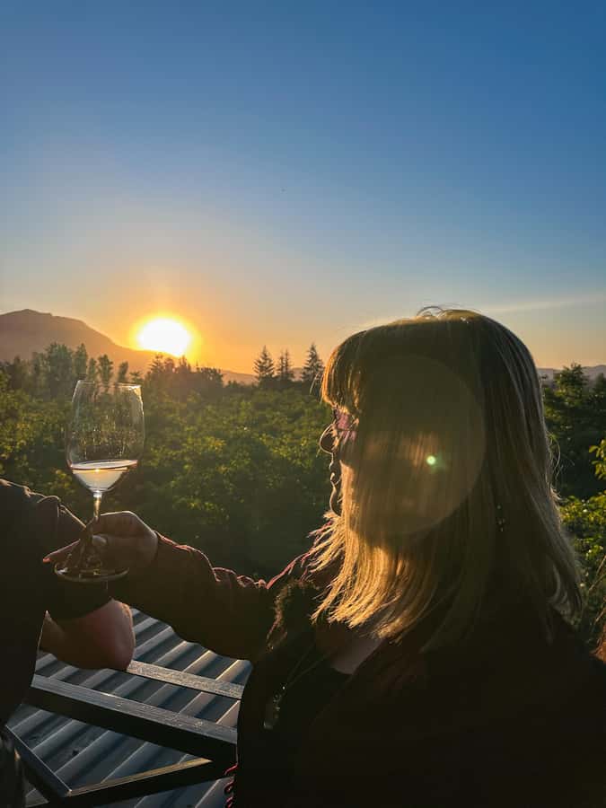 Santiago: Alyan Winery Sunset with Wine Tastings and Dinner - Who should book this and who should skip it