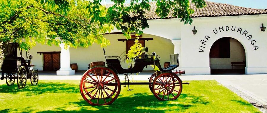 Santiago: Concha y Toro and Undurraga Vineyards Tour - Should you book this Concha y Toro and Undurraga tour?