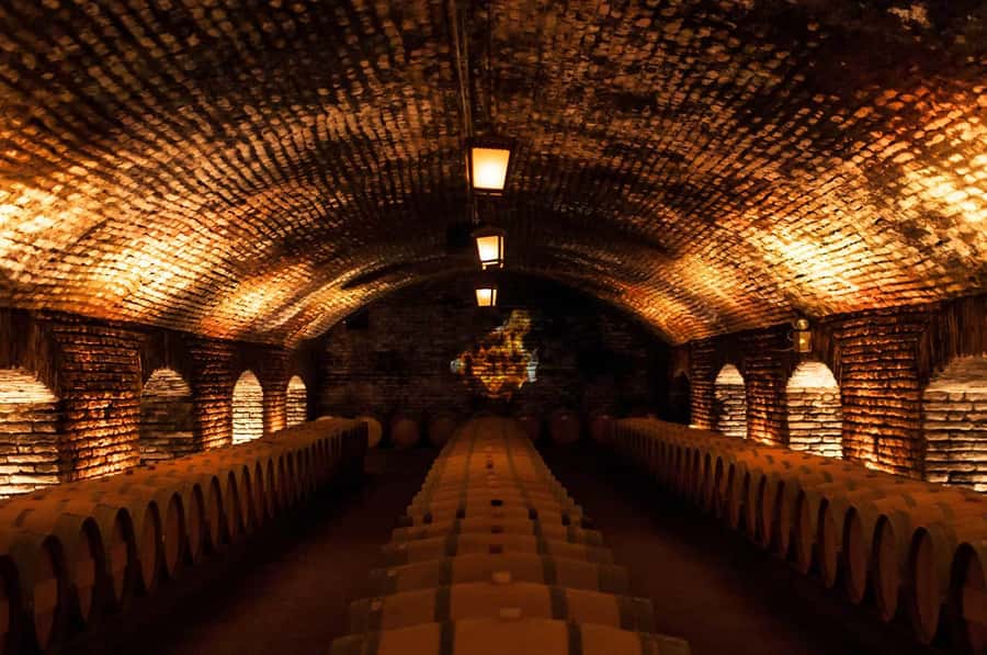 Santiago: Concha y Toro and Undurraga Vineyards Tour - Morning pickup and the Viña Undurraga visit (about 1h15)