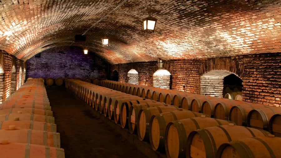 Santiago: Concha y Toro Vineyard Tour w/ Transfer & Tasting - Concha y Toro in Pirque: What Makes This Santiago Wine Tour Worth It