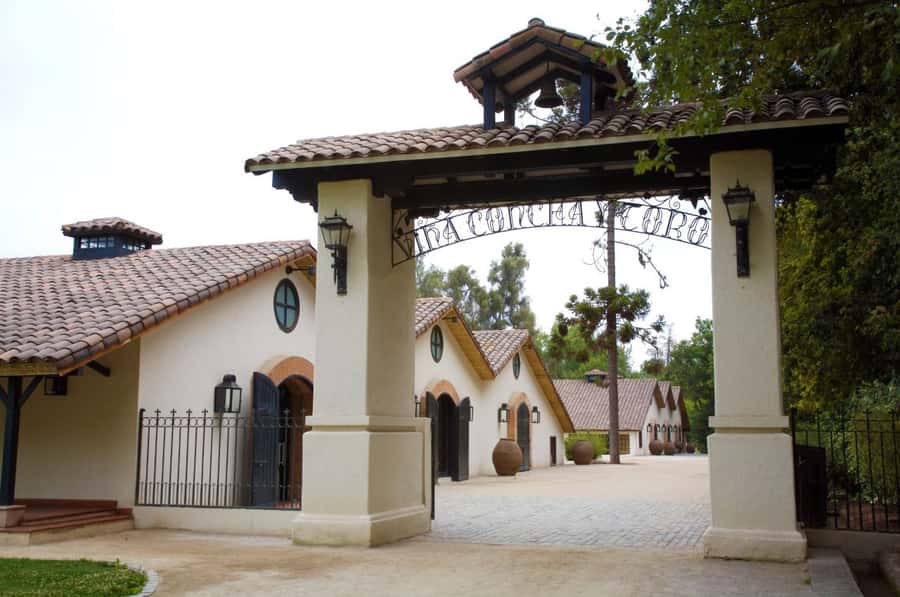 Santiago: Concha y Toro Vineyard Tour w/ Transfer & Tasting - Don Melchor Square: Panoramic Views and a Glass in Hand