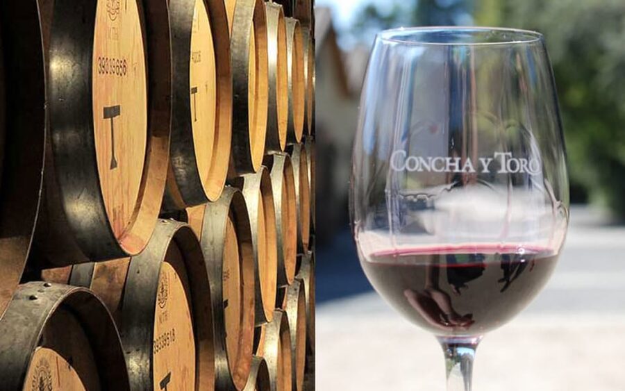 Santiago: Concha y Toro Vineyard Tour w/ Transfer & Tasting - Practical Tips: How to Have a Smooth Day (Especially in Rain or Crowds)