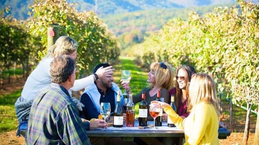 Santiago: Maipo Valley Wine Tasting Tour with 4 Vineyards - Key highlights to know before you go