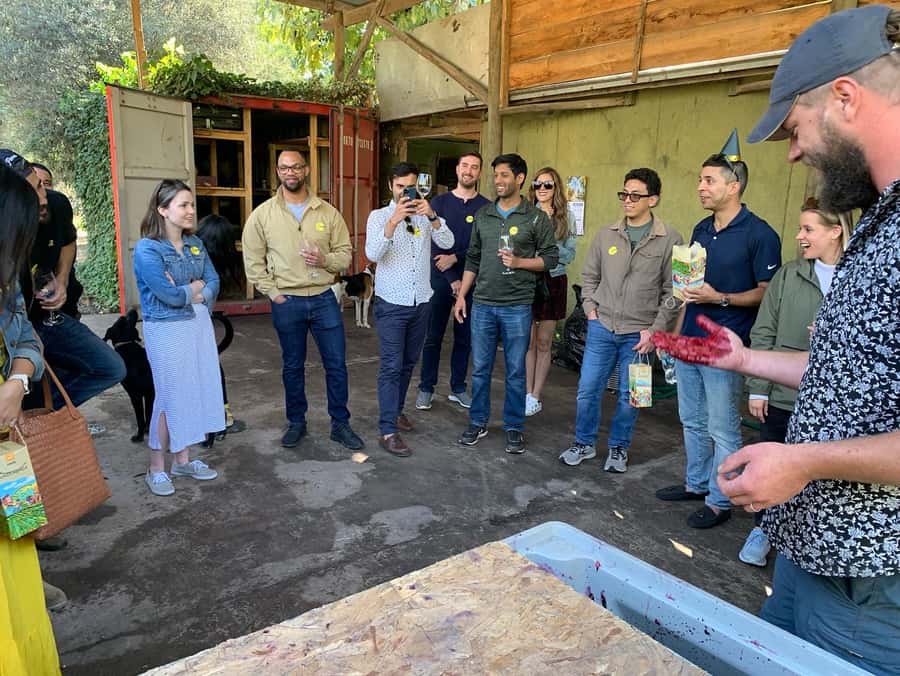 Santiago: Maipo Valley Wine Tasting Tour with 4 Vineyards - Comfort and guide quality: why names like Nacho and Pablo matter