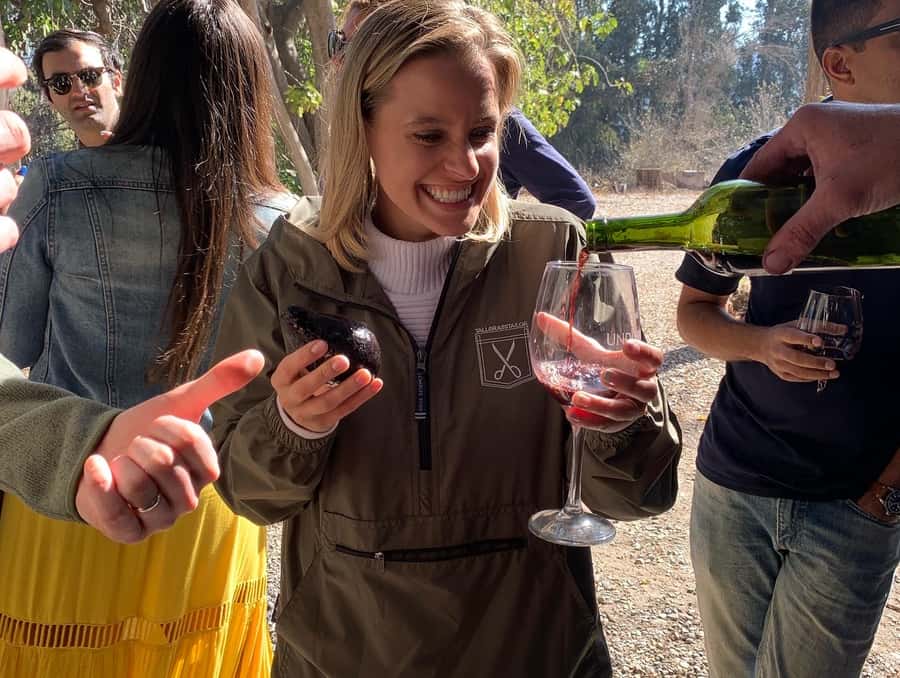 Santiago: Maipo Valley Wine Tasting Tour with 4 Vineyards - A Maipo Valley day plan that avoids the worst of Santiago driving