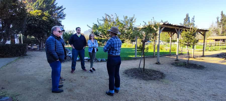 Santiago: Maipo Valley Wine Tasting Tour with 4 Vineyards - Price and value: $134 for 4 winery visits plus pickup and tastings