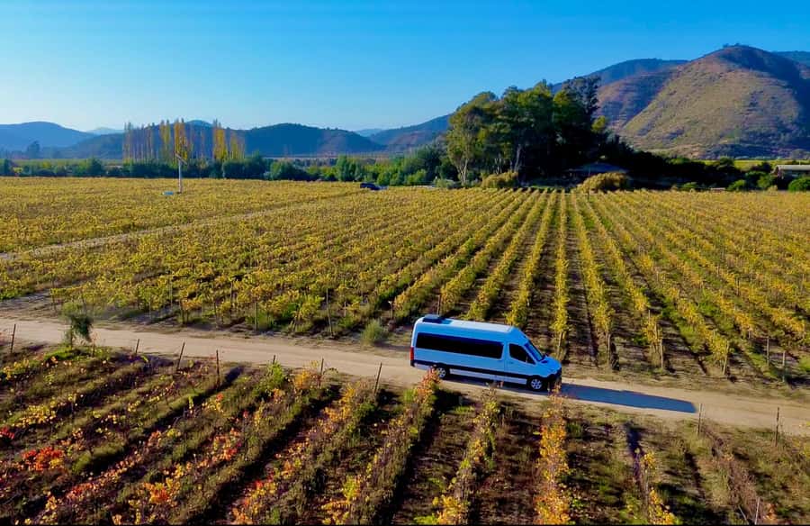 Santiago: Viña del Mar, Valparaiso, with Wine Tasting - From Santiago to the Coast: Why the Timing Works